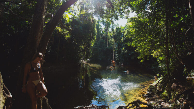 daintree-rainforest-cape-tribulation-masons-swimming-hole