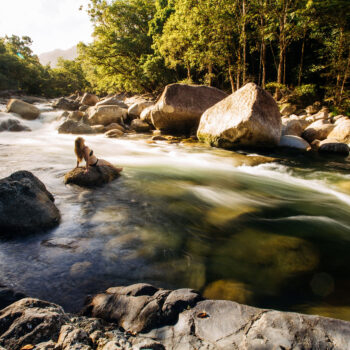 mossman-gorge-daintree-rainforest-girl-on-rock-watching-rapids